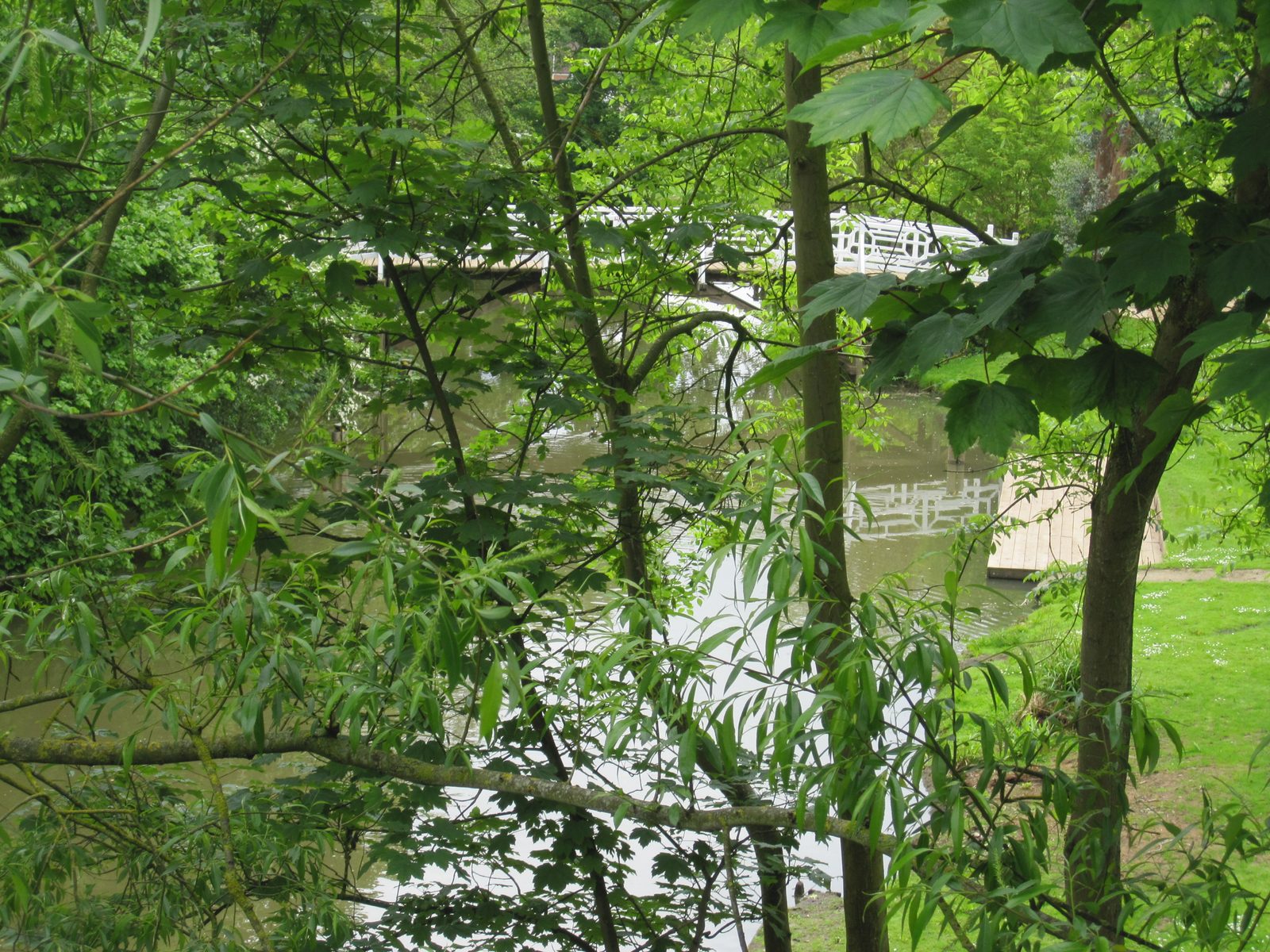 IMG_2775