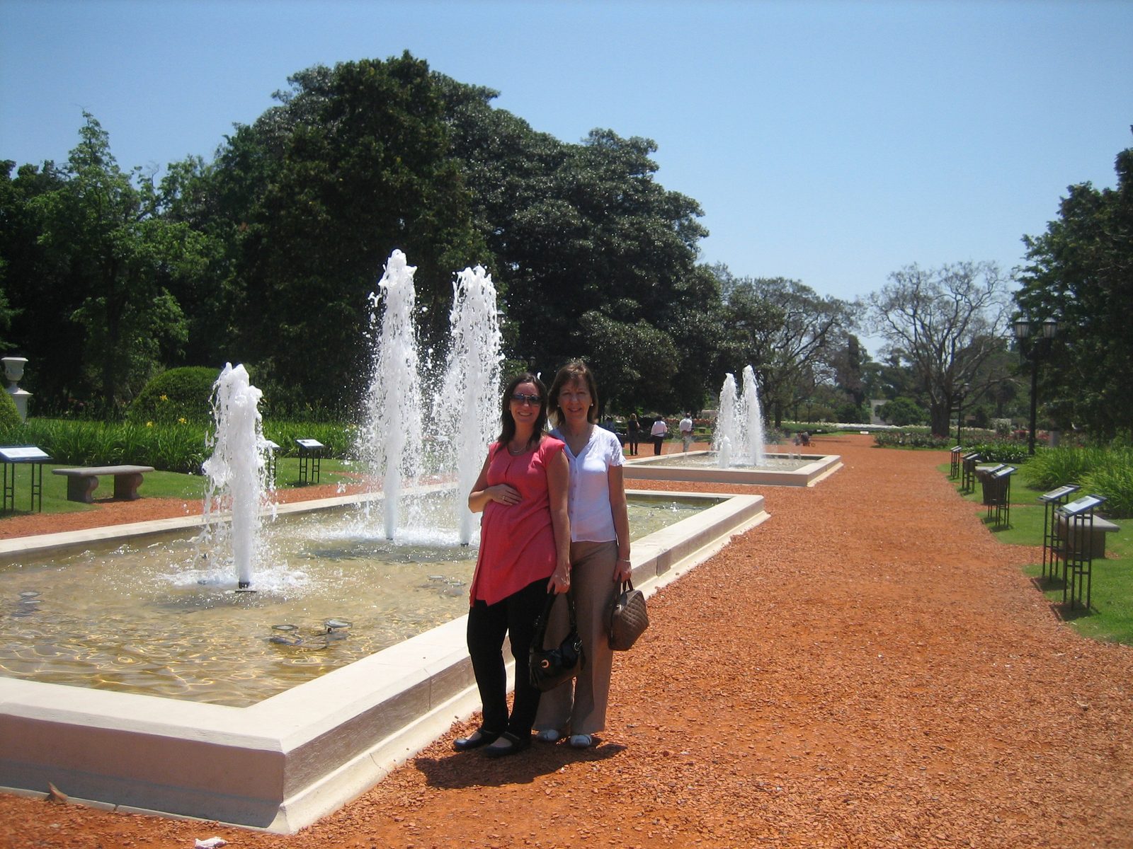 En el rosedal