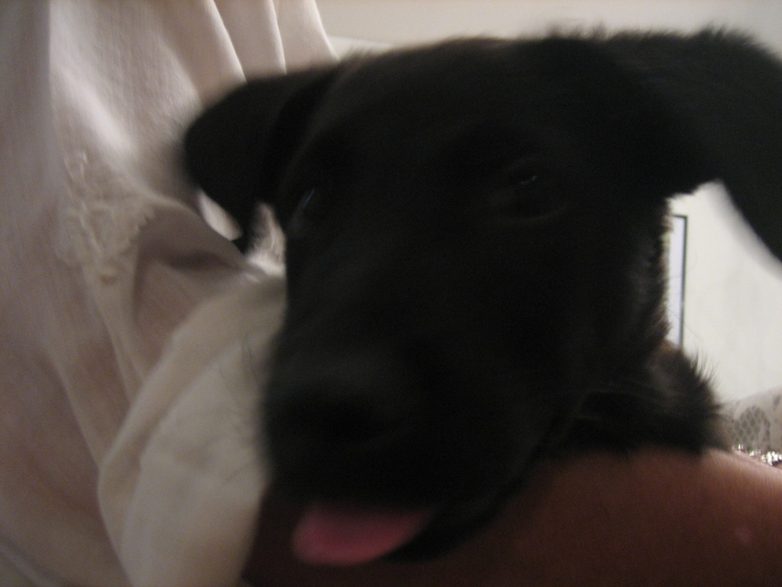 ernesto 012