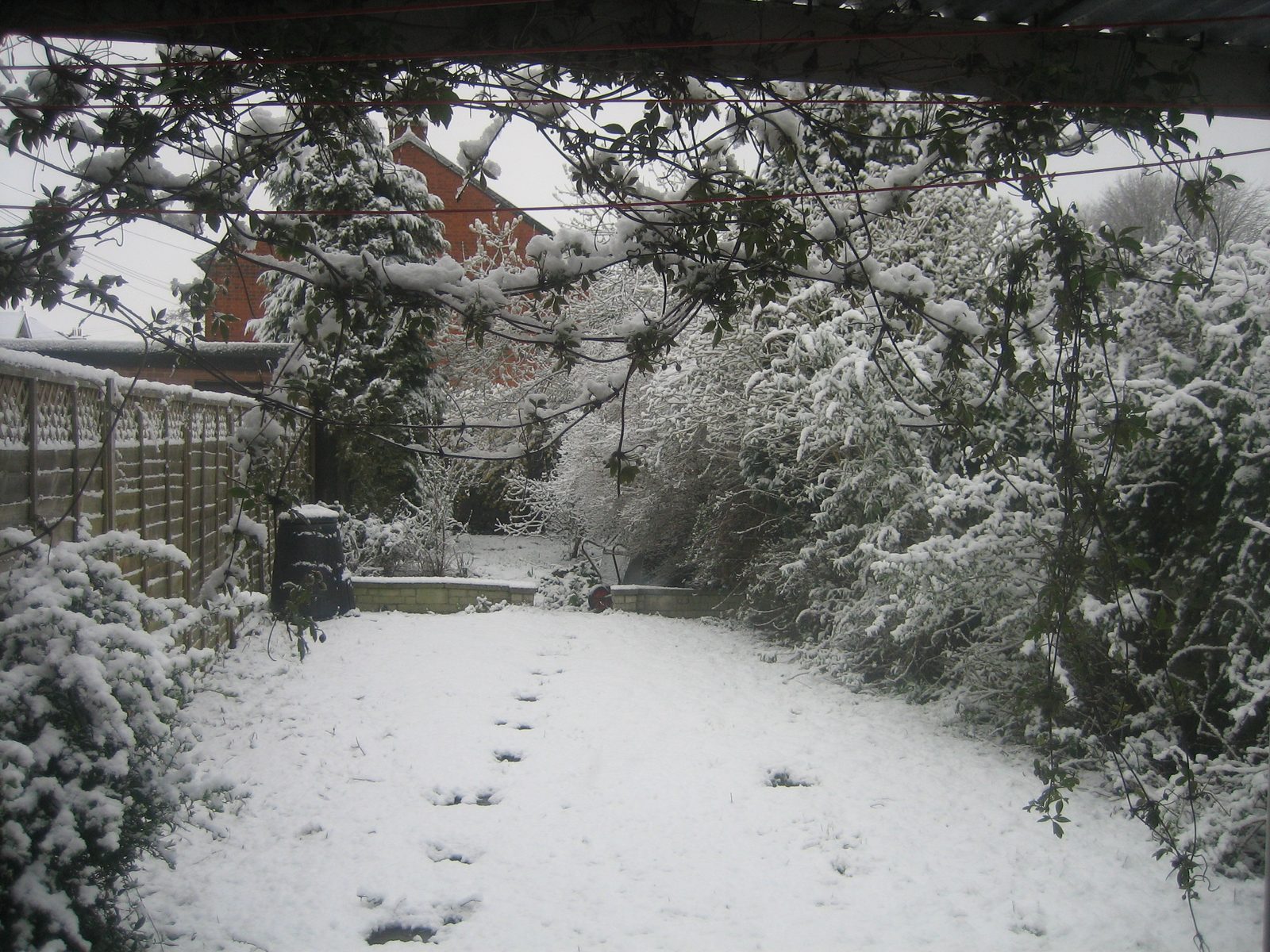 Mucha nieve