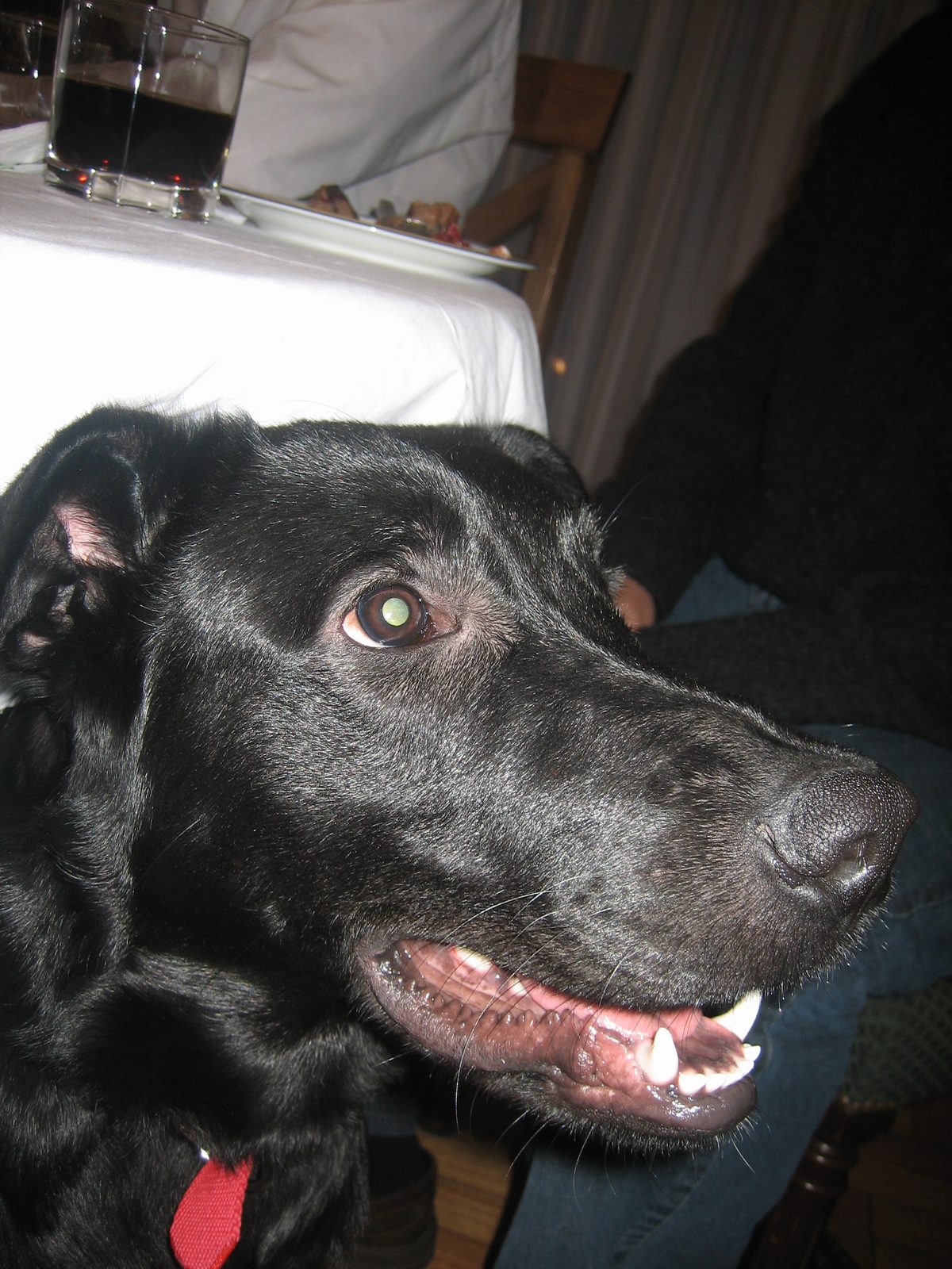 ernesto 053