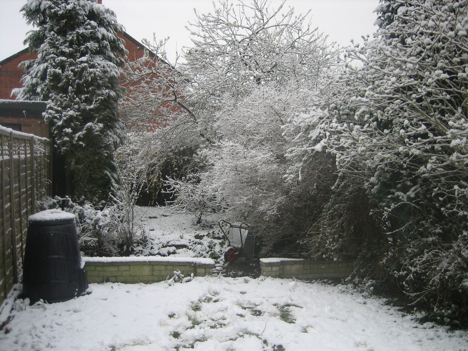 Muucha nieve