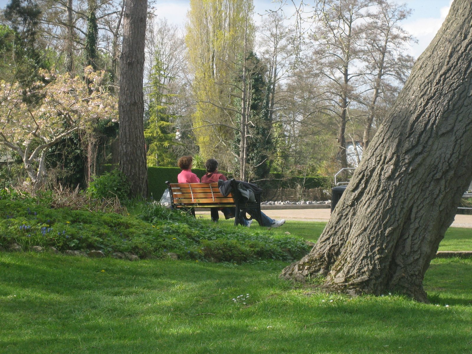 Descansando en el parque