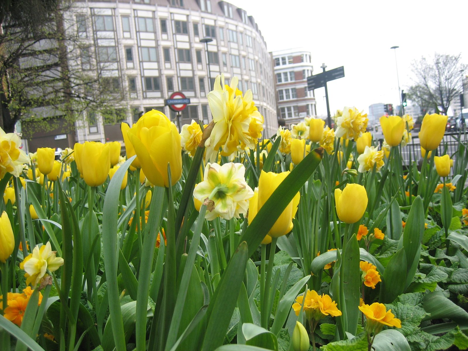 Flores en cualquier época del año