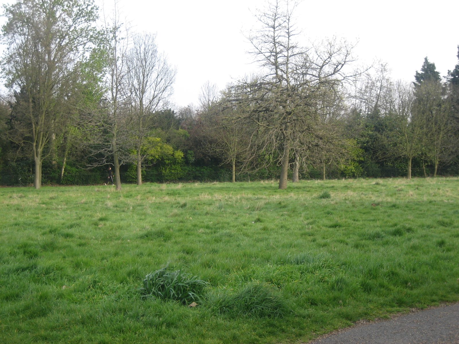 Hyde Park