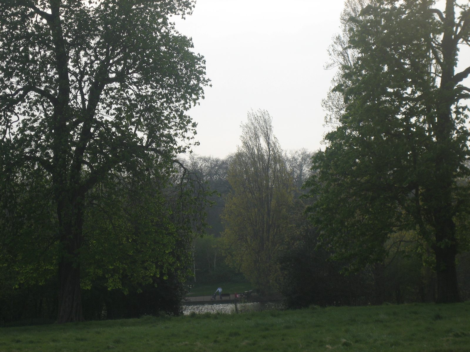A mi personalmente el parque me gusta mucho