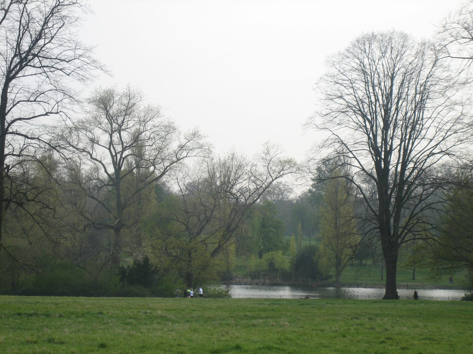 Verde y agua