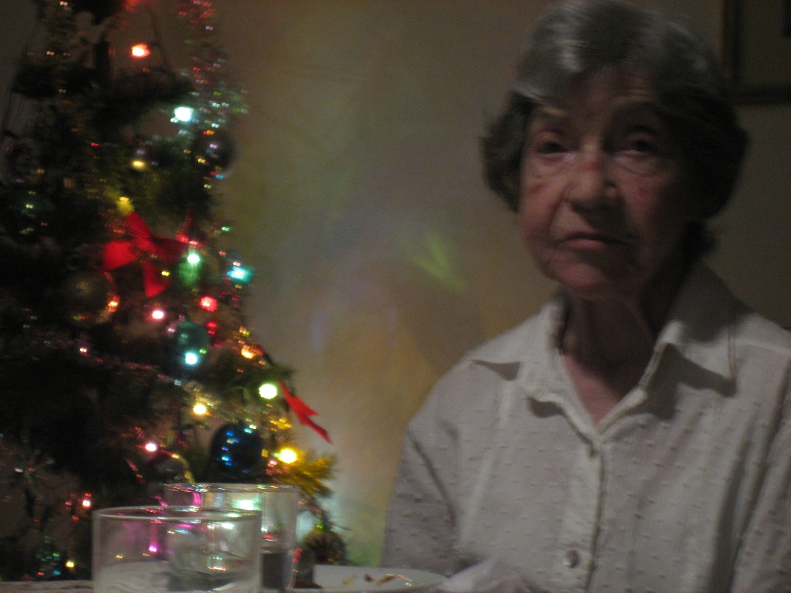 Abuela y el árbol