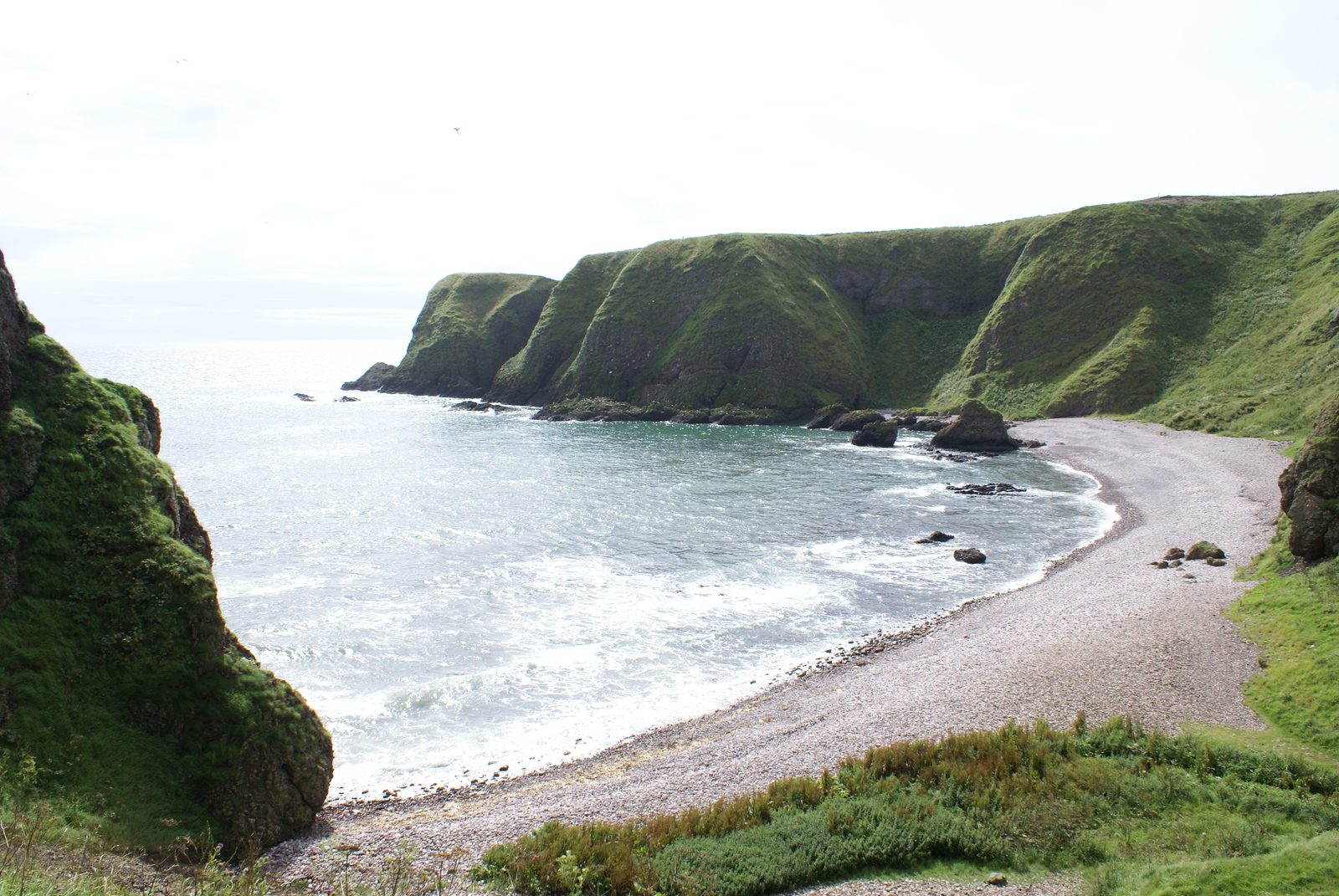 DSC00203