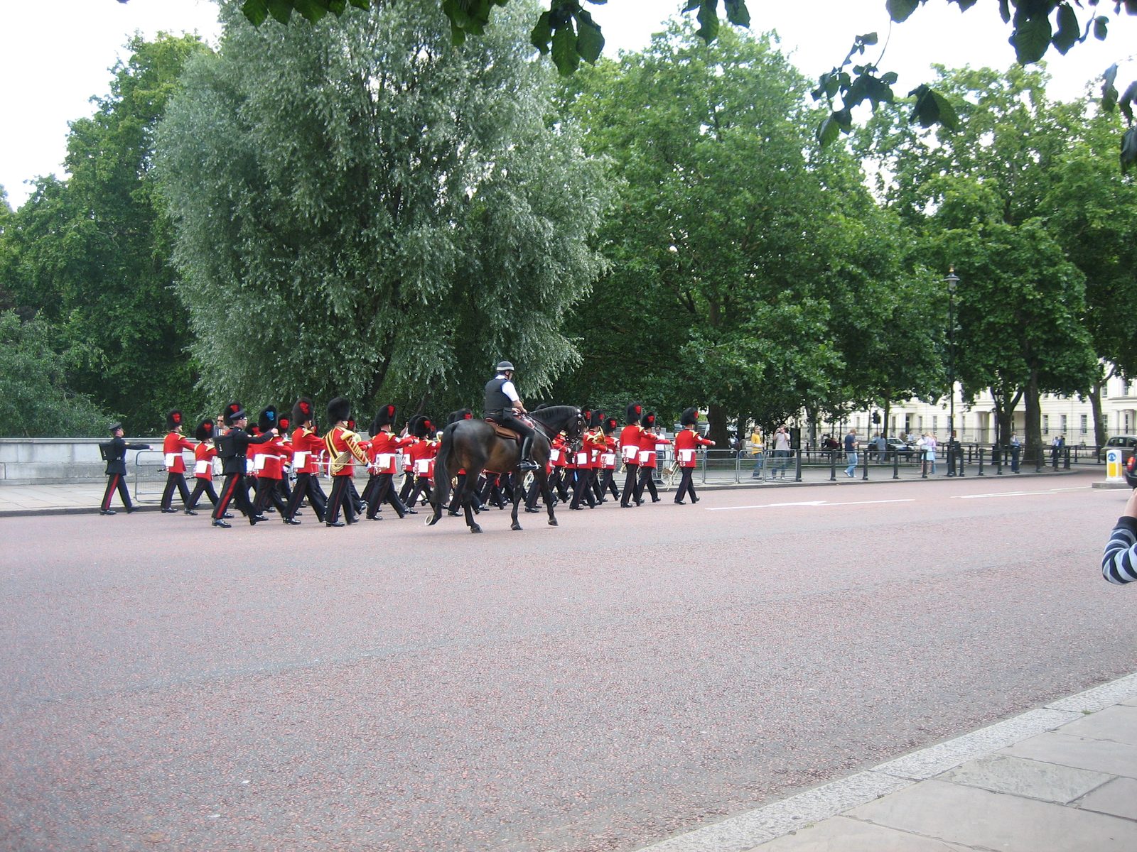 IMG_6930
