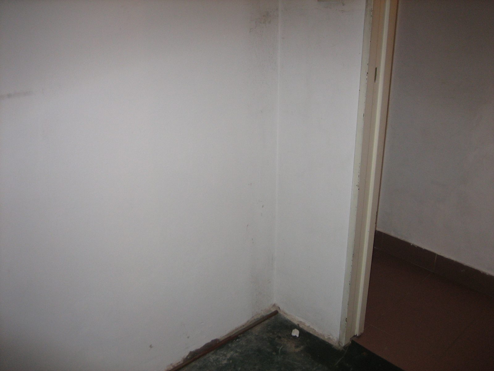 Imagen 032