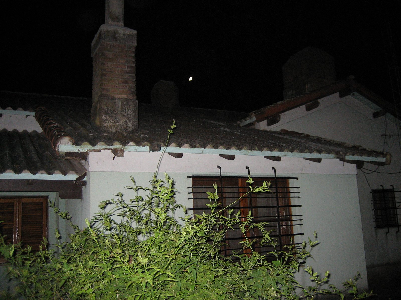 Campo 01-2006 001