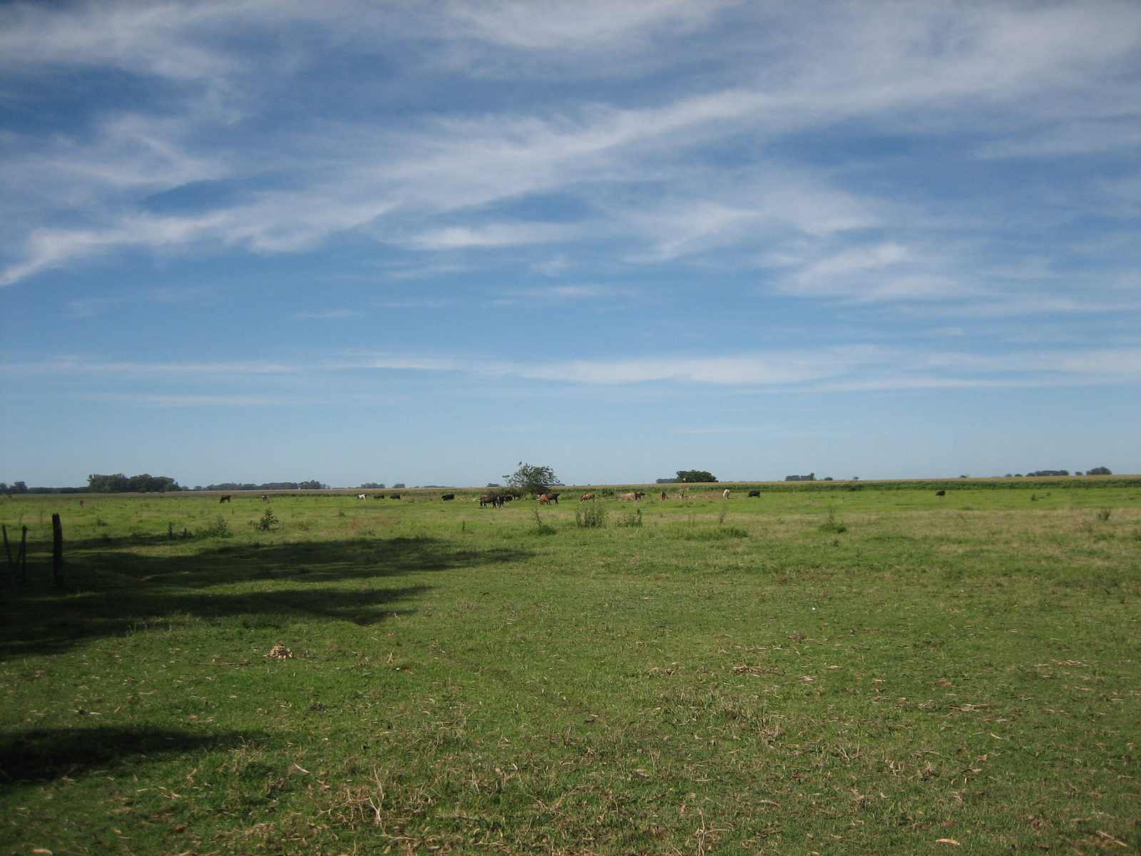 Campo 01-2006 022