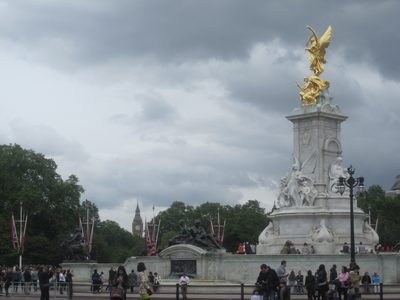 IMG_3113