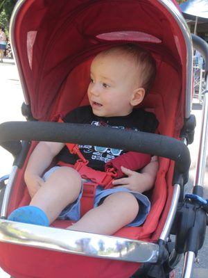 IMG_2501