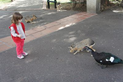 DSC02150 2