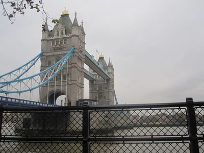 IMG_1575