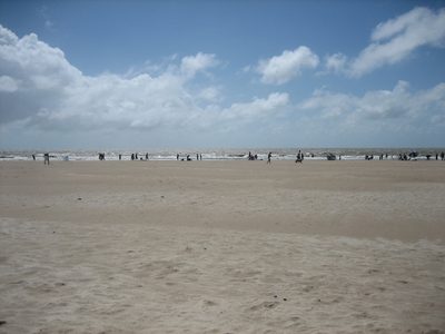 IMG_0907