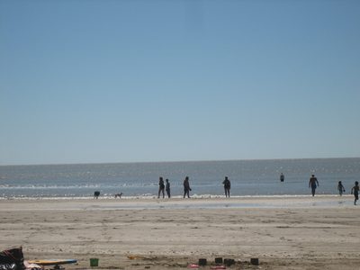 IMG_0954