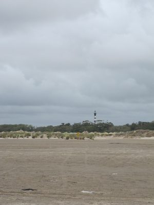IMG_0987
