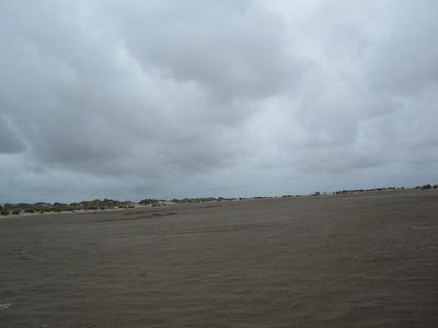IMG_1000