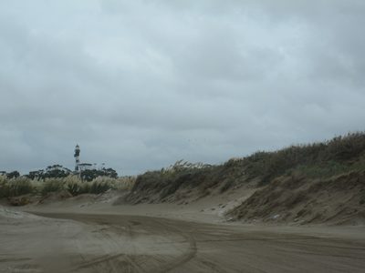 IMG_1005