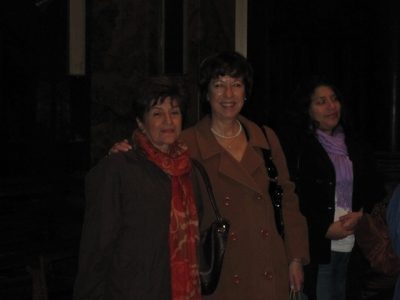 2010061233