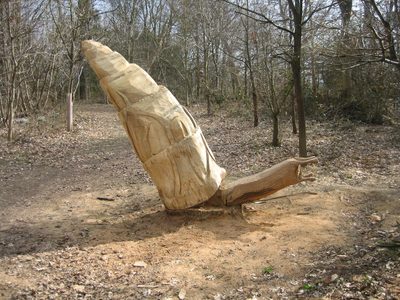 11 otro caracol