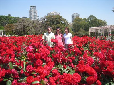 Todas rosas