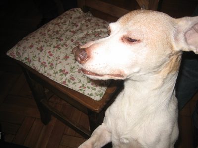 iñaki k