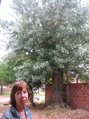 Apareció María