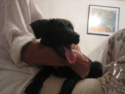 ernesto 015
