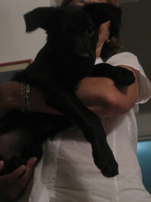 ernesto 027