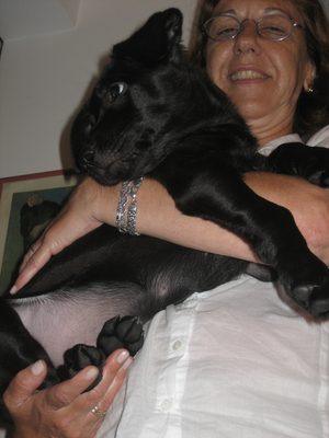ernesto 028