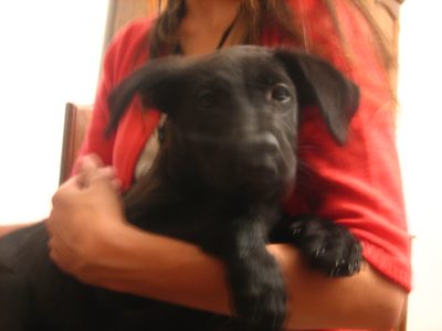 ernesto 031
