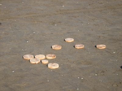 Tejo 9