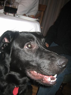 ernesto 053