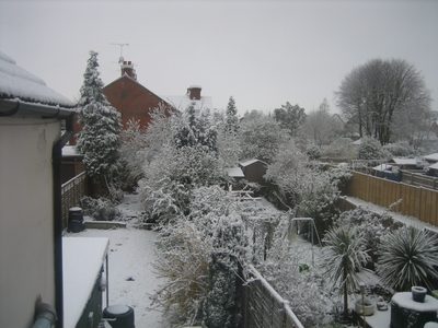 Jardines y techos nevados