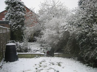 Muucha nieve