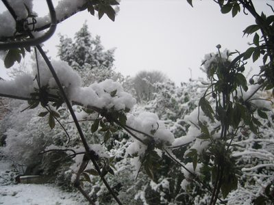El jardín estaba hermoso