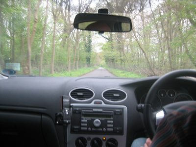 Vamos por el bosque en busca de otro pub