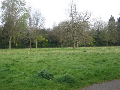 Hyde Park
