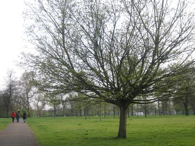 Paseando por el parque