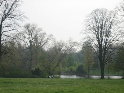 Verde y agua