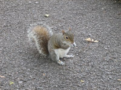 IMG_6570