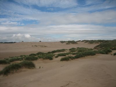 IMG_6687
