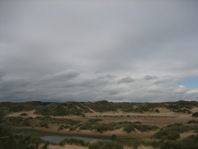 IMG_6689