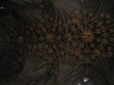 IMG_6800