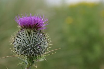 DSC00168