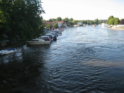 IMG_6895